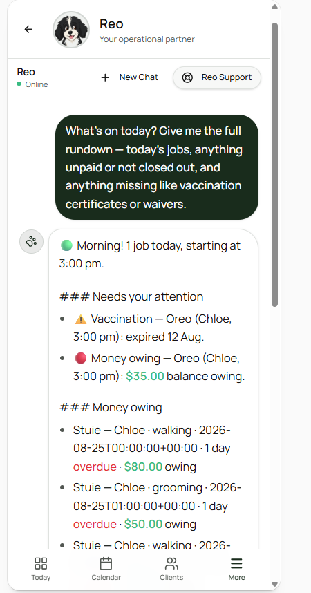 The same Reo rundown on a mobile phone, showing needs-your-attention flags and the itemised money-owing list